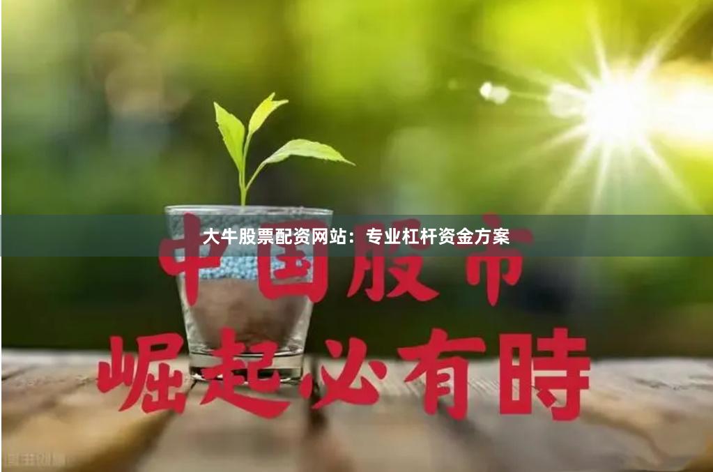 大牛股票配资网站：专业杠杆资金方案