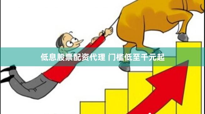 低息股票配资代理 门槛低至千元起